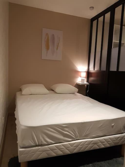 Apartamento Studio Place De La Barre Le Cosy Mâcon Exterior foto